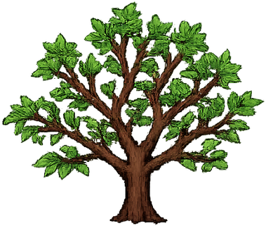 Young tree