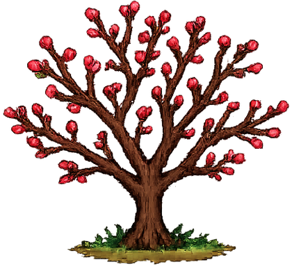 Budding